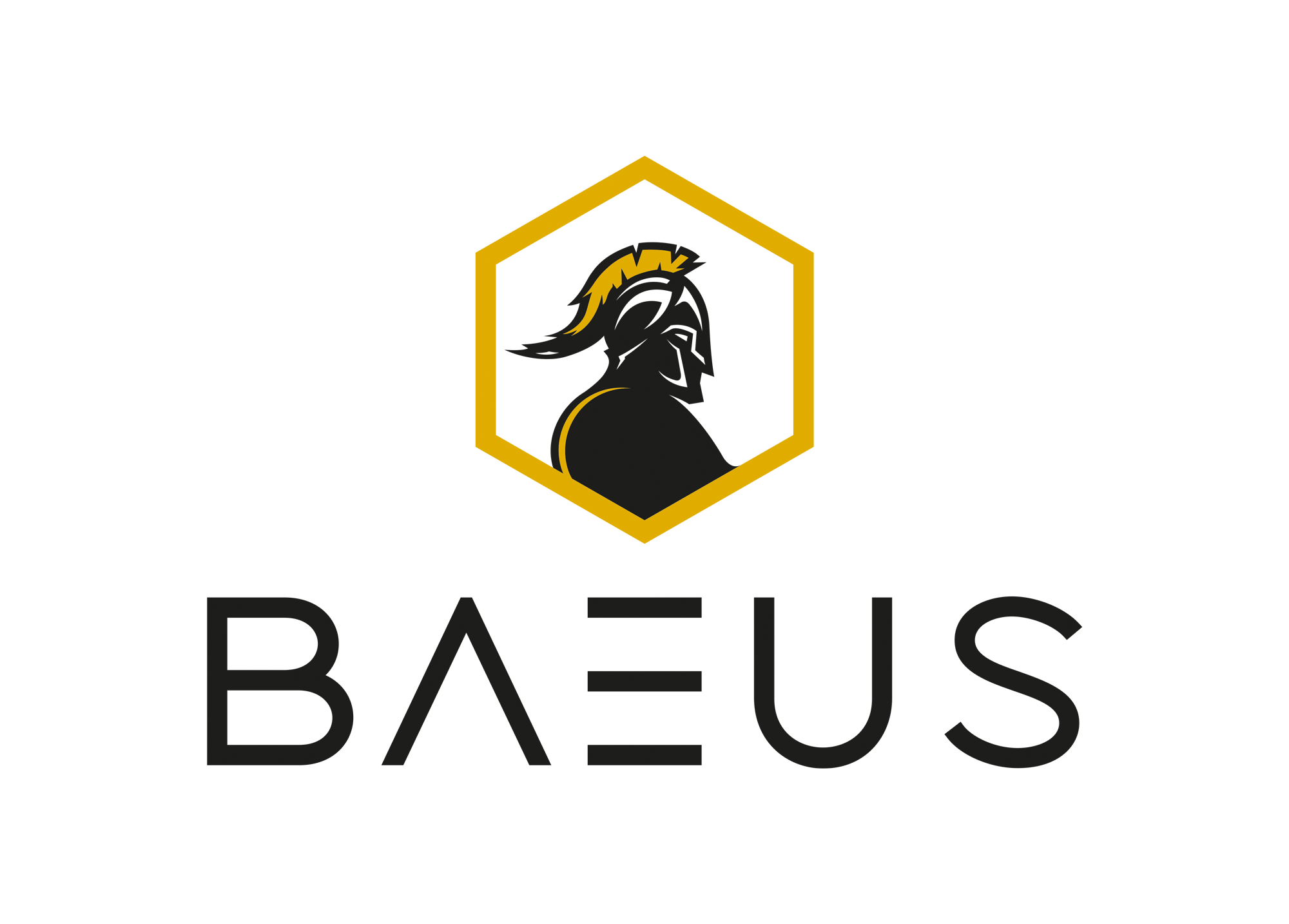 Baeus Bau